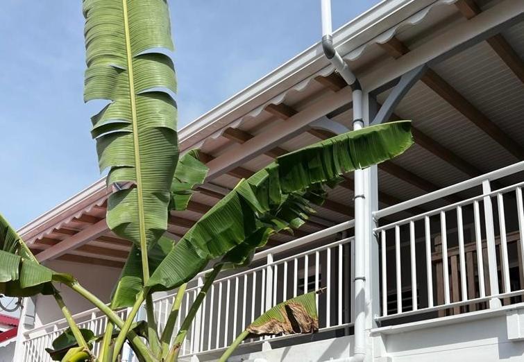 Bekeke Apartment Capesterre Bagian luar foto